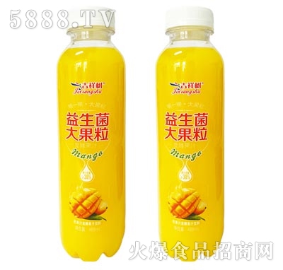 吉祥樹芒果益生菌大果粒果汁飲料488ml
