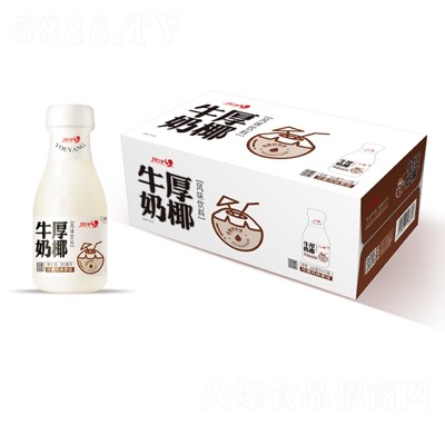 優(yōu)洋厚椰牛奶風味飲料300mlX15