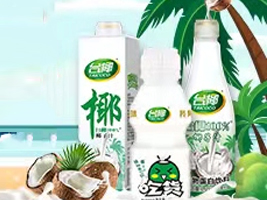 廣東臺椰食品有限公司