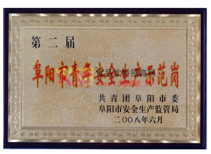 阜陽市青年安全生產(chǎn)示范崗