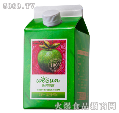 陽(yáng)光味道蘋(píng)果汁500ml(屋頂盒)