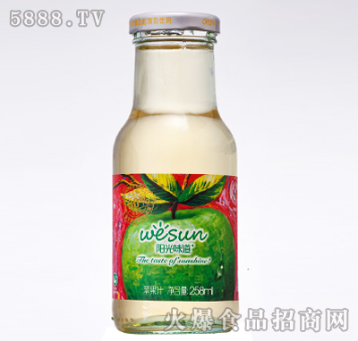 陽(yáng)光味道蘋(píng)果汁258ml