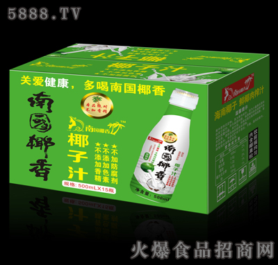 500mlx15瓶南國椰香椰子汁
