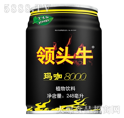 I(lng)^ţֲ248ml