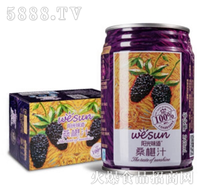 陽(yáng)光味道桑椹汁245mLx6罐