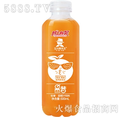 500ml輕奢果昔益生菌果汁甜橙汁飲料