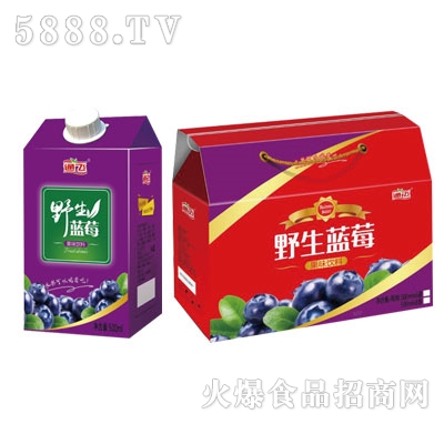 通飛野生藍莓果味飲料