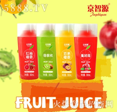 京智源發(fā)酵復合果汁360ml