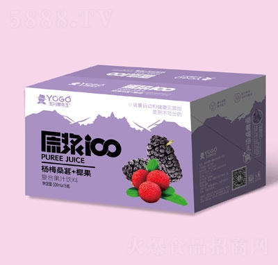 玉川果先生楊梅桑葚+椰果復(fù)合果汁飲料500mlX15