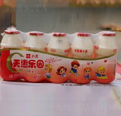 天惠樂(lè)園乳酸菌飲品100ml×5