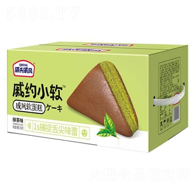 LܛĨζ2000g