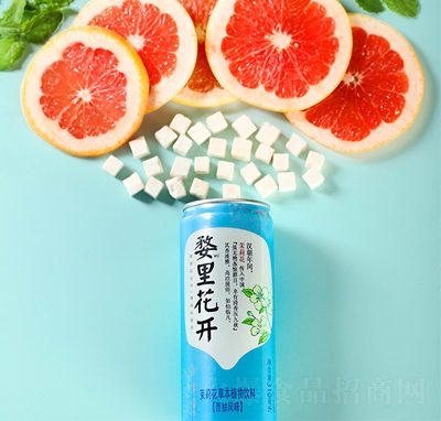 ﻨ_򻨲ݱֲL(fng)ζ310ml