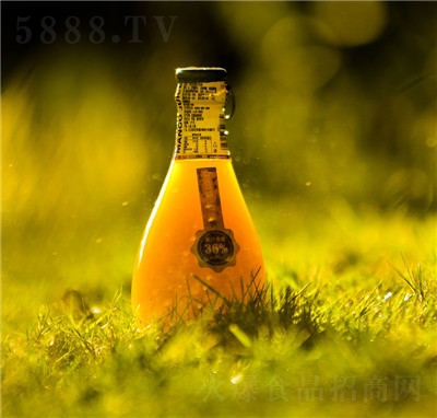 大有為果汁飲料休閑飲品招商代理商超貨源芒果汁226ml