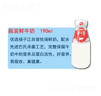 揚(yáng)子江瓶裝鮮牛奶純牛奶招商