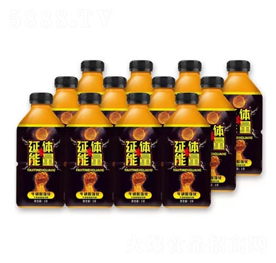 延體能量?；撬釓?qiáng)化風(fēng)味飲料功能飲料1L