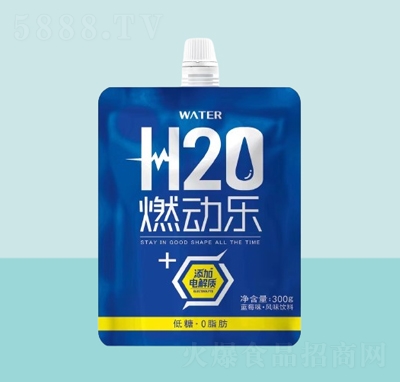 燃動樂藍莓味風(fēng)味飲料300g