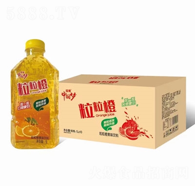 國傲粒粒橙果味飲料1LX10