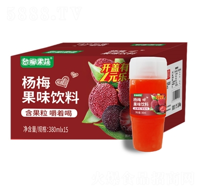 臺椰果蔬楊梅果味飲料380mlX15瓶