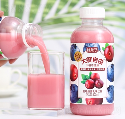 rcӴ{ݮζƷ500ml