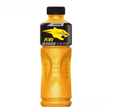 600ml